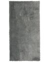 Világosszürke hosszú szálú szőnyeg 80 x 150 cm EVREN_758695