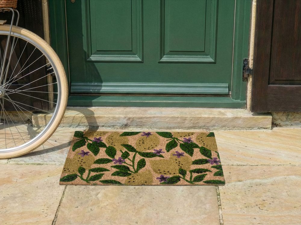 Tapete de entrada TAZLINA Multicolor 50 x 80 cm Limão Fibra de coco