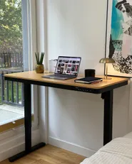 Electric Adjustable Standing Desk PENLY 120 cm x 60 cm with USB Port Black/ Light Brown_1193890