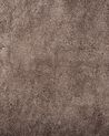 Shaggy Area Rug 200 x 200 cm Light Brown EVREN_758587