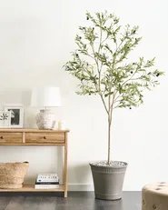 Sztuczna roślina OLIVE TREE 178 cm Zielony_950444