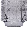 Glass Flower Vase 33 cm Grey DIKELLA_838144