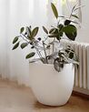 Plant Pot 55 x 55 x 53 cm Off-White KANNIA_887669