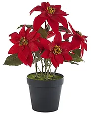 Pianta artificiale CHRISTMAS FLOWER 61 cm Rosso_1174966