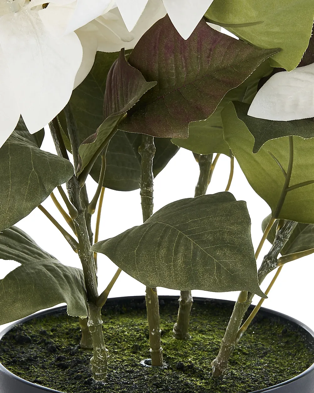 Pianta artificiale CHRISTMAS FLOWER 61 cm Bianco_1174962