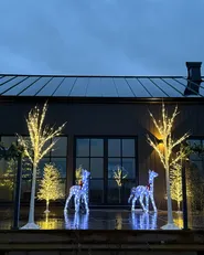 Dekoracja ogrodowa LED LAPPI 190 cm Choinka Biały_1039298