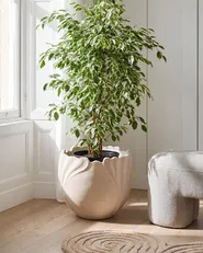 Donica ARPONE 44 cm Jasnobeżowy_1082387