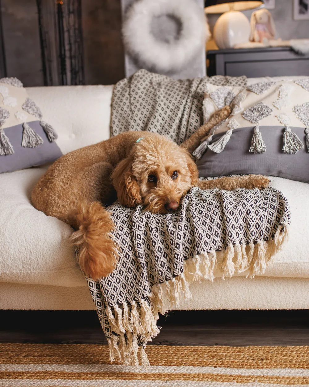 Plaid CHYAMA Bomuld 125 x 150 cm Sort/beige_979162