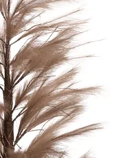 Dekoracja ogrodowa LED HAUGANES 190 cm Choinka Beżowy_1025597