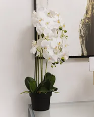 Sztuczna roślina ORCHID 65 cm Biały_977906