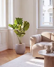 Artificial Plant RUFFLED FAN PALM 98 cm Green_1185281