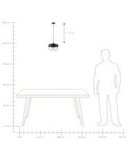 Pendant Lamp MURRAY Glass Black_752095