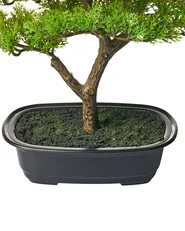 Sztuczna roślina PINE 37 cm Zielony_1028616
