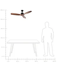 Ceiling Fan ARANI with Remote Dark Brown_988673