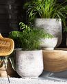 Plant Pot ⌀ 53 cm Grey DIONI_740469