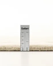 Rug CHENNAI Light Beige 200 x 300 cm Wool_1037020