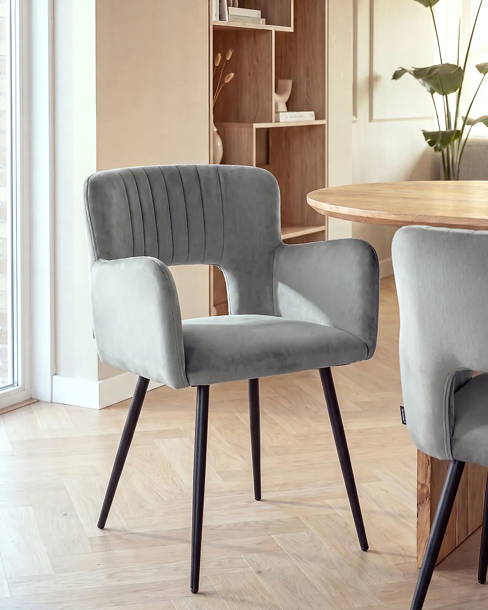 Conjunto de 2 sillas de comedor SANILAC Terciopelo Gris_1187196