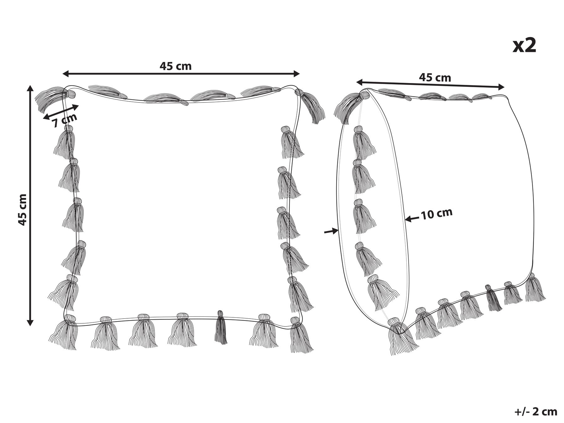 Set of 2 Cotton Cushions with Tassels 45 x 45 cm Pink LYNCHIS_838723