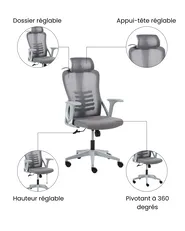 Chaise de bureau ERGONOX Gris_1071051