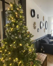 Artificial Christmas Tree LED PALOMAR 210 cm Green_842685