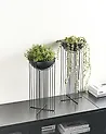 Zestaw 2 donic na nóżkach FICARIA 22 cm Metal Czarny