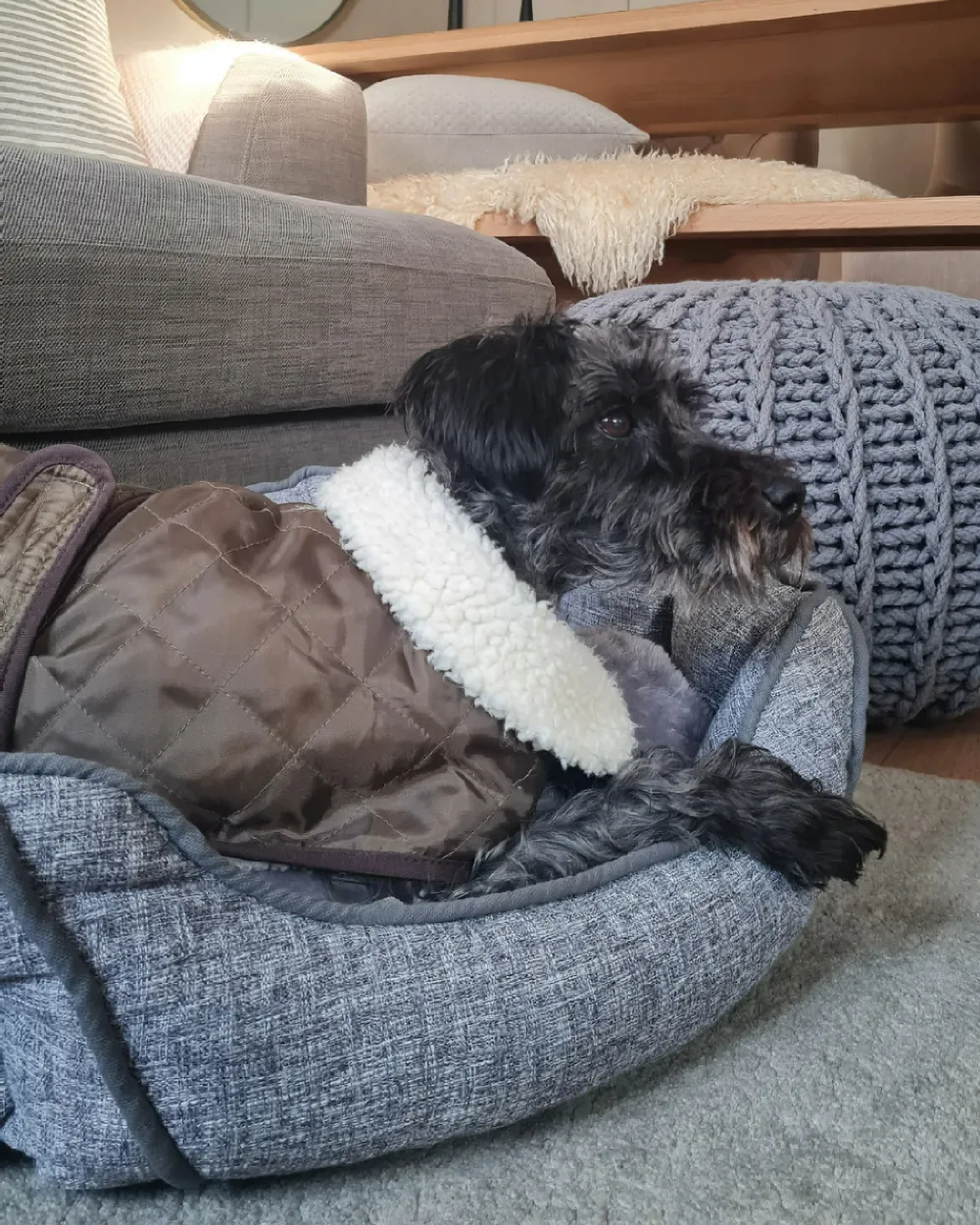 Pet Bed CANDIR Linen Grey_982505