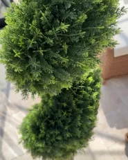Sztuczna roślina CYPRESS SPIRAL TREE 126 cm Zielony_1006338