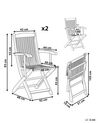Set of 2 Garden Folding Chairs Light Wood MAUI_722069