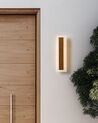 Outdoor LED Wall Light 30 cm Gold ROSALIE_866537