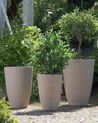 Set of 2 Plant Pots 43 x 43 x 60 cm Beige CAMIA_841572