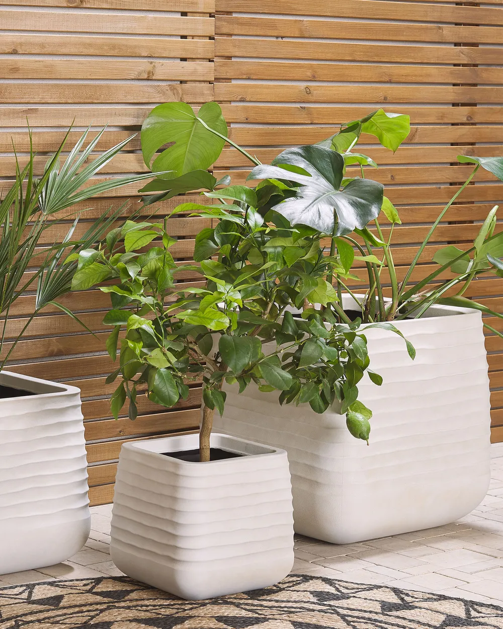 Vaso per piante e fiori TUBUS PROSPERPLAST in polipropilene verde H 57.2 cm 30 cm | Leroy Merlin