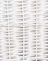 Set of 5 Willow Baskets White ELLA_939849