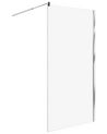 Shower Screen AHAUS 1000 x 1900 mm Silver
