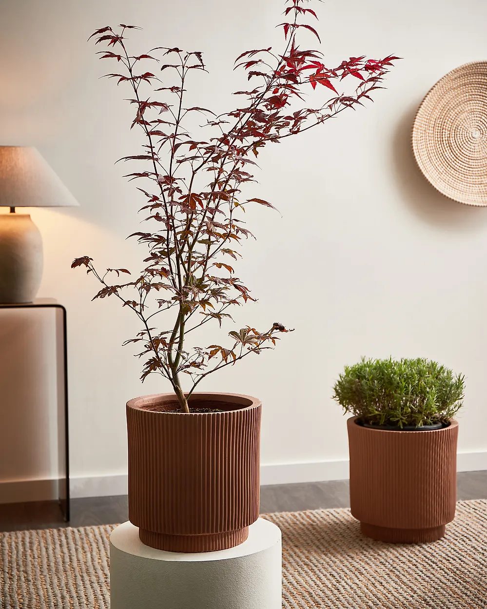 Blumenkübel DARIA 30 cm Braun