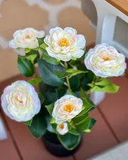 Pianta artificiale CAMELLIA 60 cm Verde_1076017
