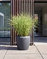Plant Pot MYCENA 56 cm Grey