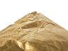 Bean Bag Chair Gold DROP_798930