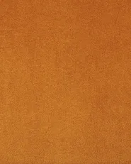 Set of 2 Dining Chairs WELLSTON Velvet Orange_901859