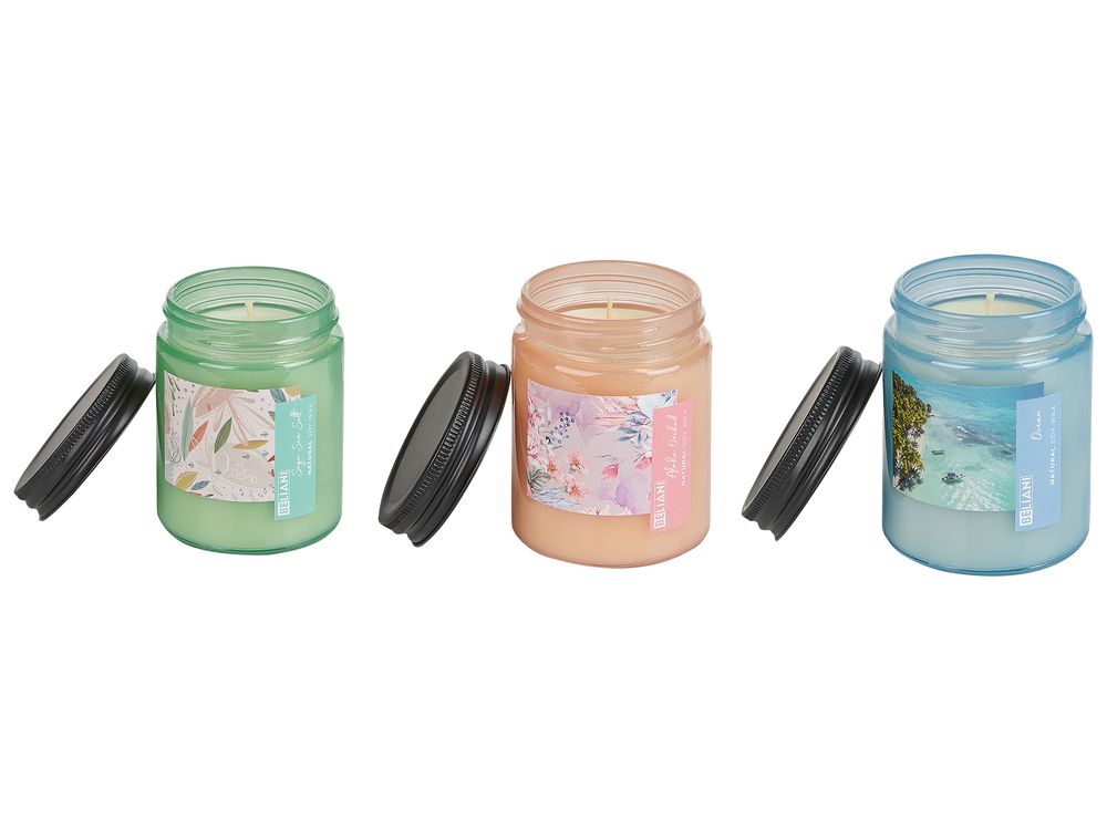 Lot de 3 bougies parfumées FRUITY BLOOM Cire de soja Notes florales Notes de fraîcheur