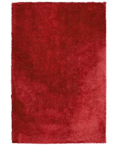 Tappeto shaggy rosso 200 x 300 cm EVREN