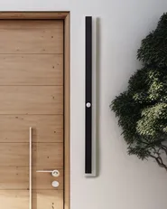 Outdoor LED Wall Light SAVANE with Motion Sensor Black_866488