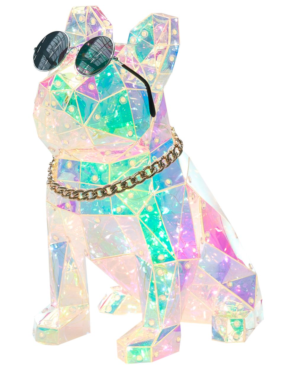 LED decoratie Hond JONKU Meerkleurig