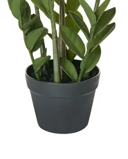 Sztuczna roślina ZAMIIFOLIA 76 cm Zielony_994167