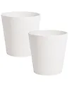 Set of 2 Plant Pots ARMERIA 50 cm White