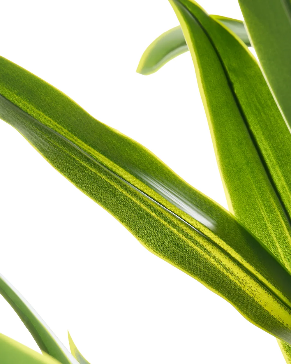 Sztuczna roślina DRACAENA TREE 150 cm Zielony_1103909