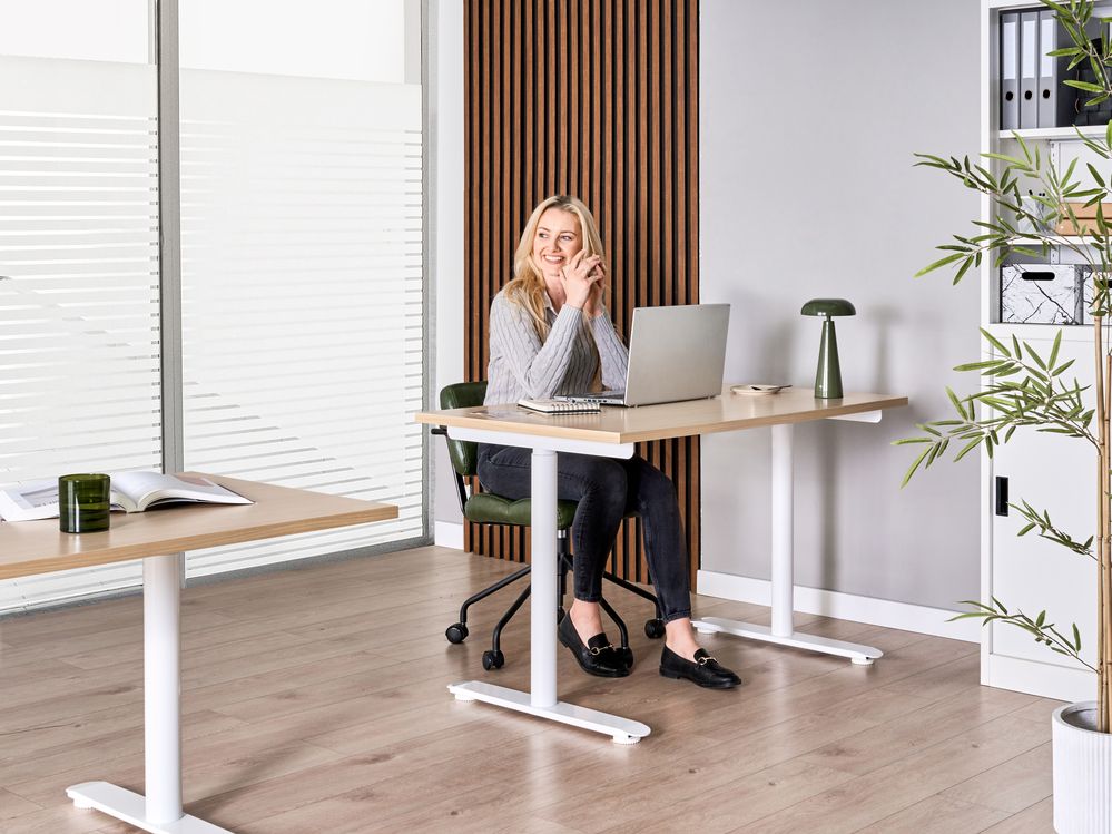 Electric Adjustable Standing Desk DESTINAS 120 cm x 72 cm Light Brown/ White