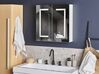 Bathroom Wall Mounted Mirror Cabinet with LED White 60 x 60 cm MAZARREDO_785554