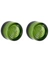 Set of 2 Outdoor Wall Lights VEIGA Green