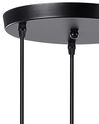 3 Light Ceiling Lamp Black CARSON_796300