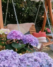 Patio Swing ANDRIA Larch Wood Brown_1172271